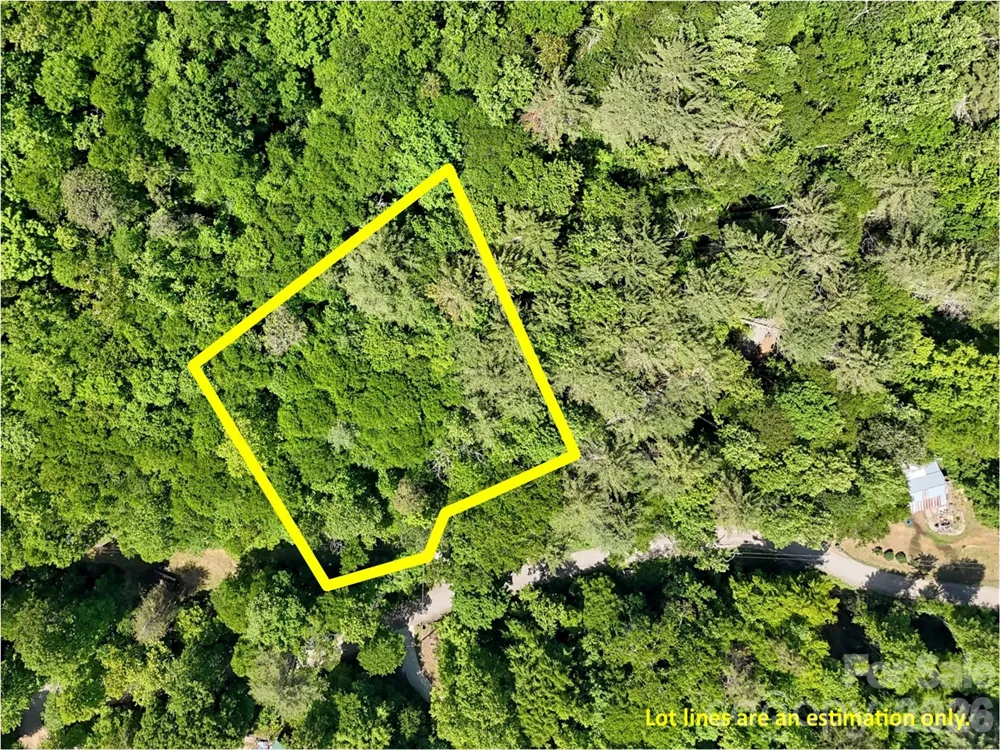 000 Enchanted Forest Drive #1 Sylva, NC 28779