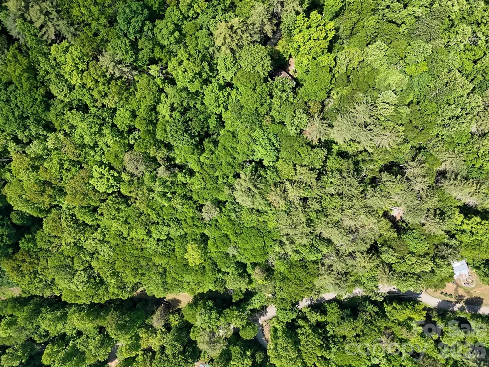 000 Enchanted Forest Drive #1 Sylva, NC 28779