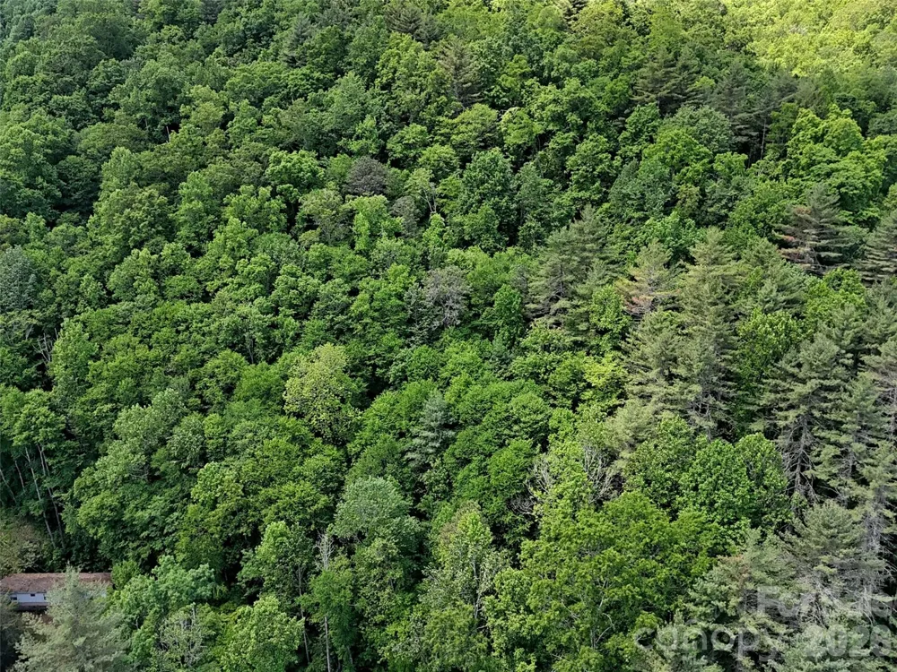 000 Enchanted Forest Drive #1 Sylva, NC 28779