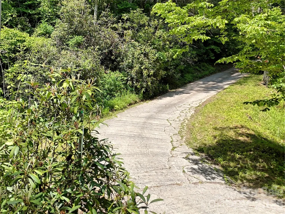 000 Enchanted Forest Drive #1 Sylva, NC 28779