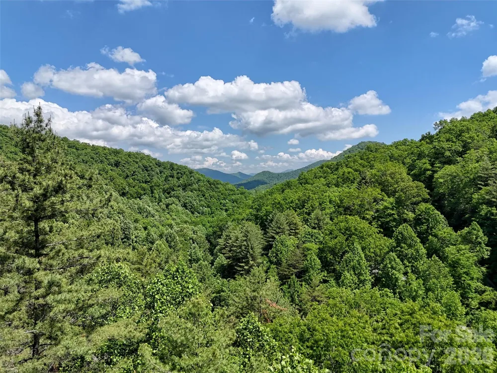 000 Enchanted Forest Drive #1 Sylva, NC 28779