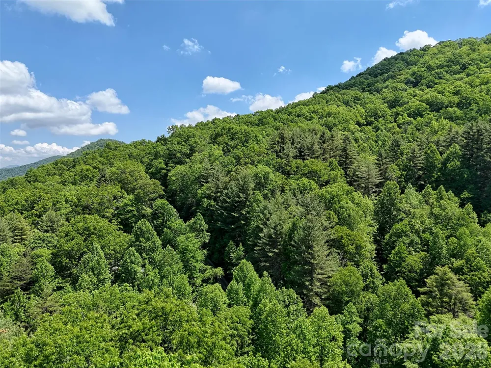 000 Enchanted Forest Drive #1 Sylva, NC 28779