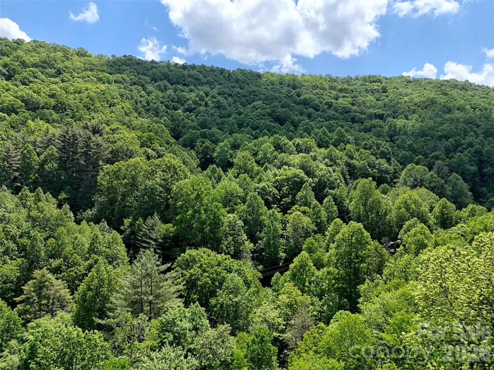 000 Enchanted Forest Drive #1 Sylva, NC 28779
