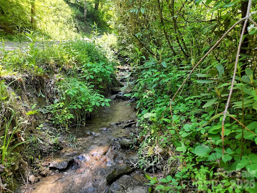 000 Enchanted Forest Drive #1 Sylva, NC 28779