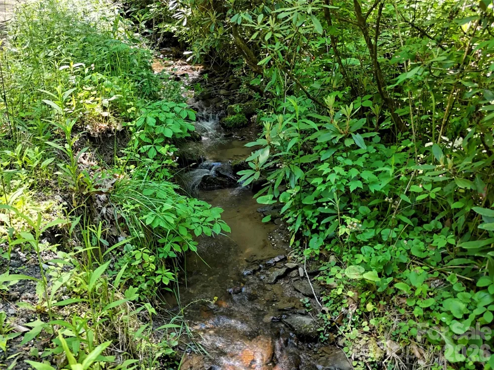 000 Enchanted Forest Drive #1 Sylva, NC 28779