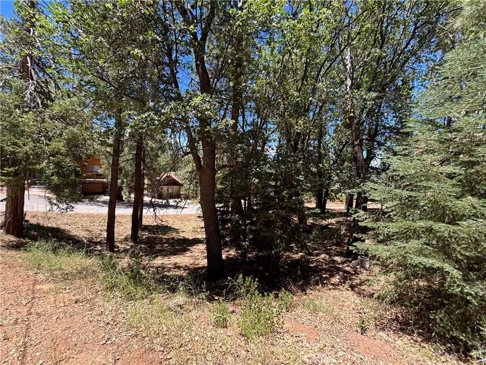815 Conklin Big Bear Lake, CA 92315