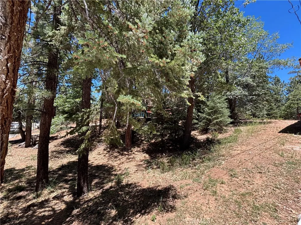 815 Conklin Big Bear Lake, CA 92315
