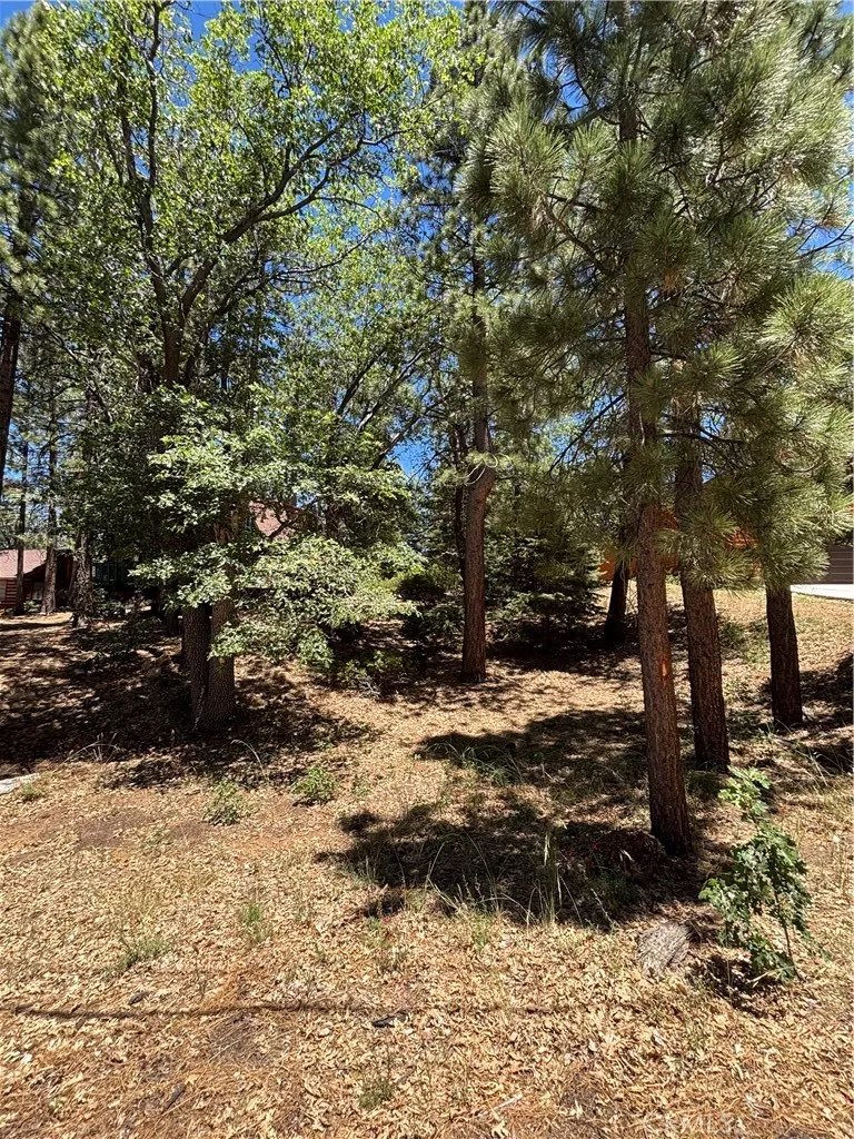 815 Conklin Big Bear Lake, CA 92315