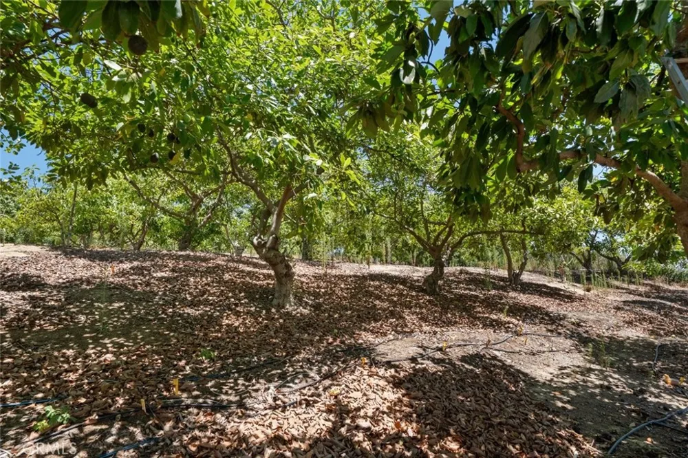 4305 Groves Place Somis, CA 93066