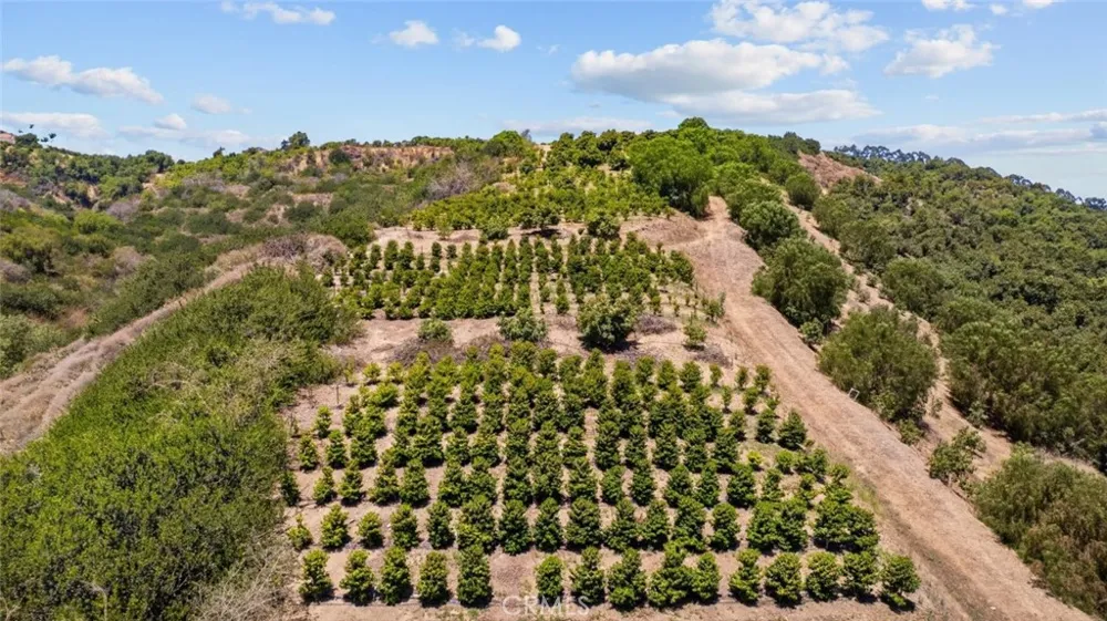 4305 Groves Place Somis, CA 93066