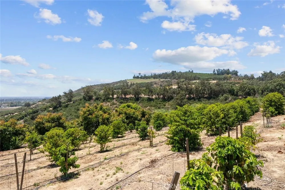 4305 Groves Place Somis, CA 93066