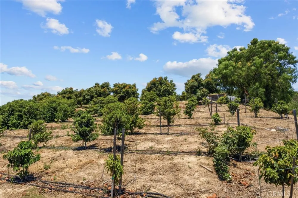 4305 Groves Place Somis, CA 93066