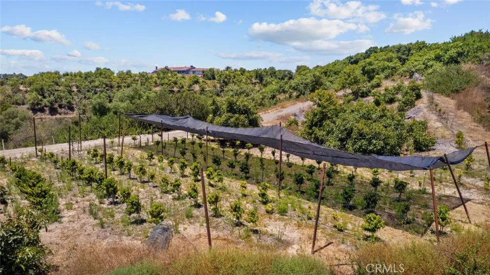 4305 Groves Place Somis, CA 93066