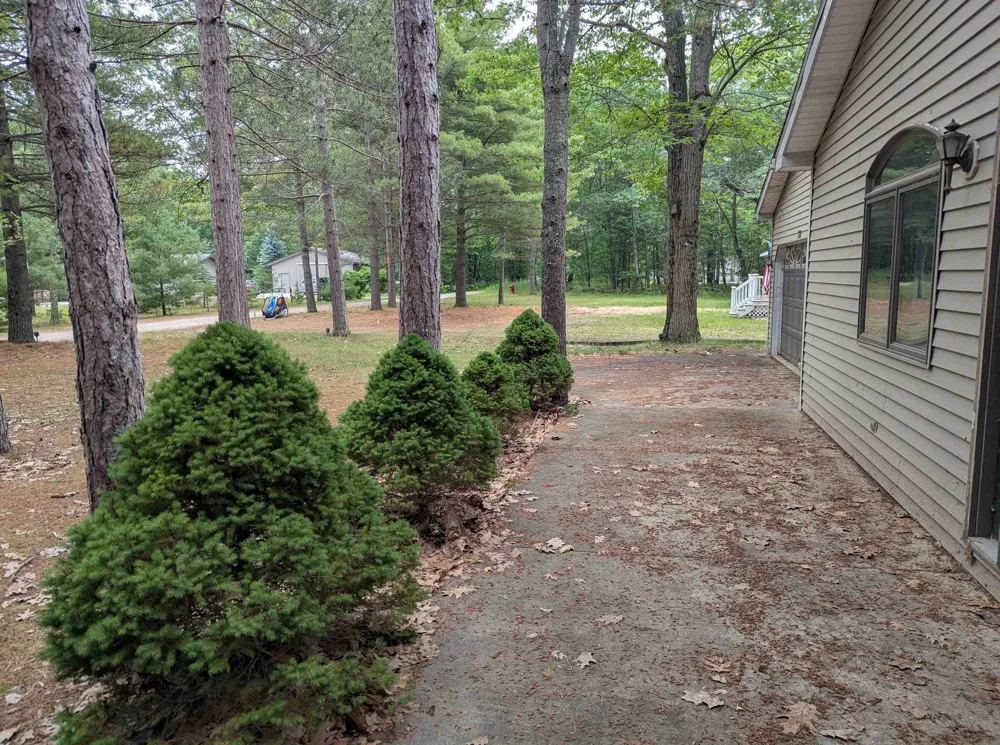 28 W Pine Sims Township, MI 48703