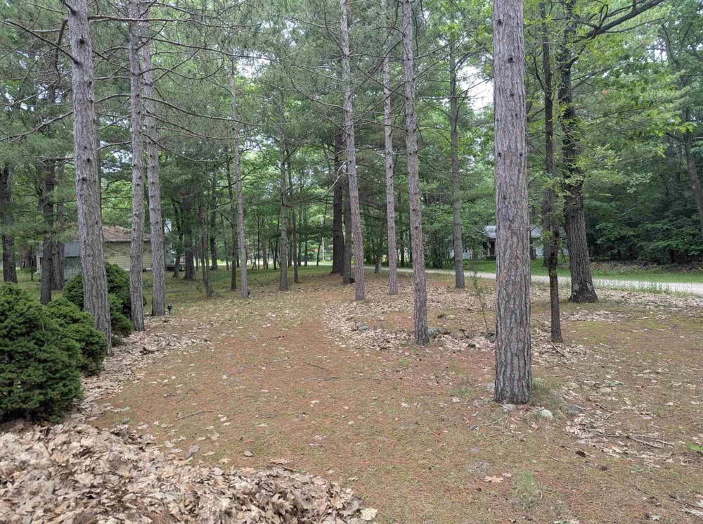 28 W Pine Sims Township, MI 48703