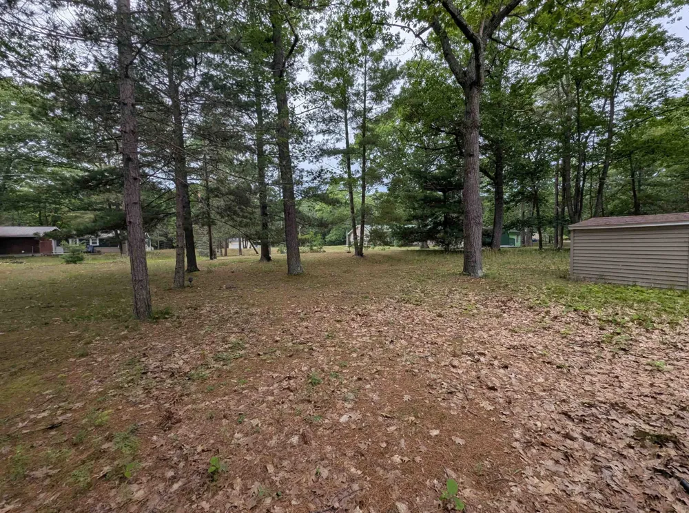 28 W Pine Sims Township, MI 48703