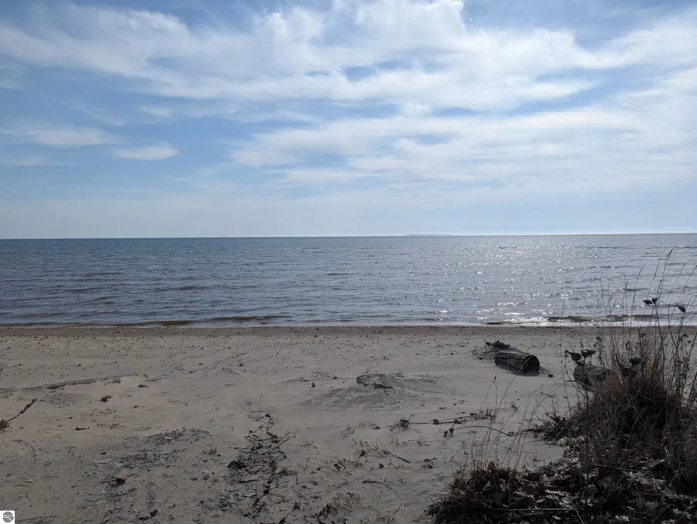 28 W Pine Sims Township, MI 48703