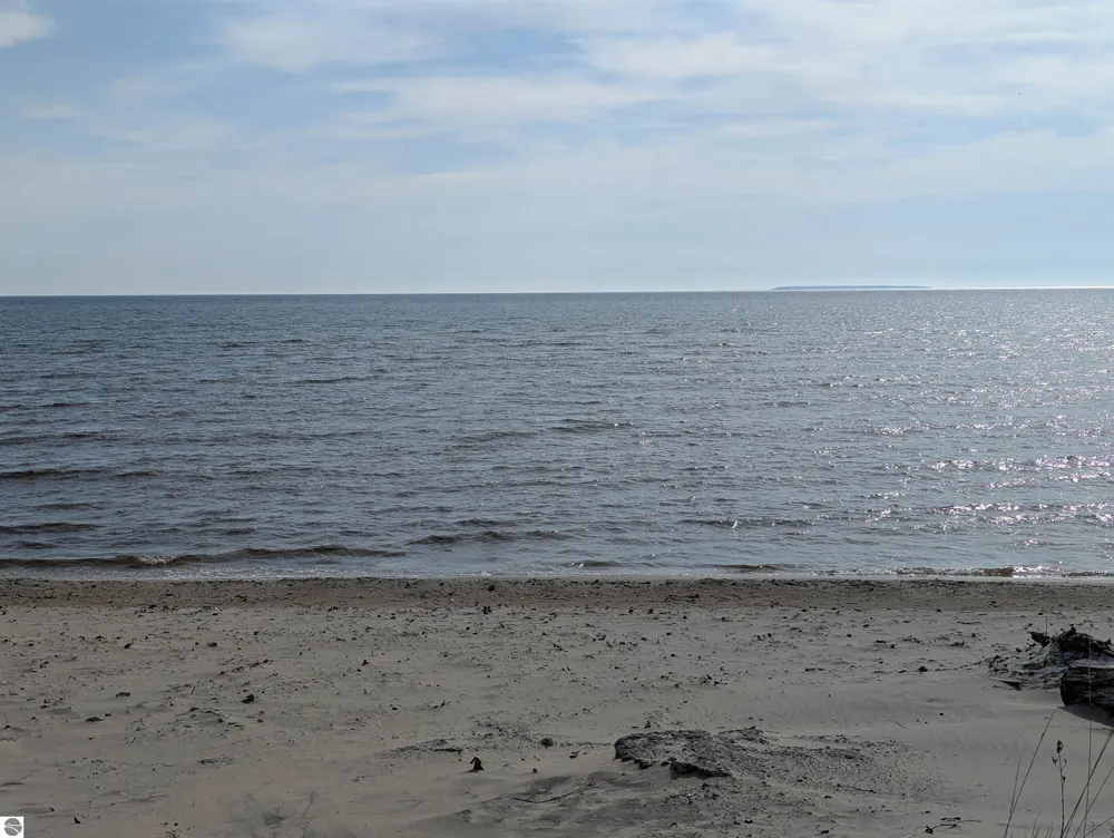 28 W Pine Sims Township, MI 48703