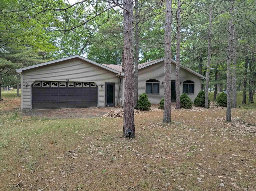 28 W Pine Sims Township, MI 48703