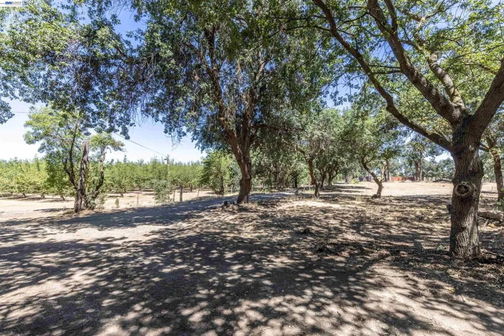 3515 Kellogg Creek Rd Byron, CA 94514