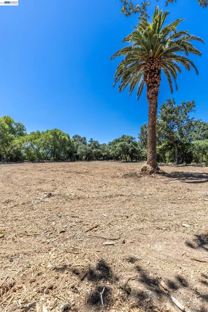 3515 Kellogg Creek Rd Byron, CA 94514