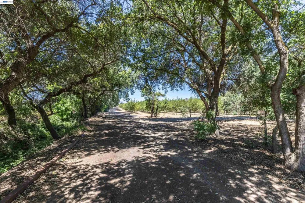 3515 Kellogg Creek Rd Byron, CA 94514