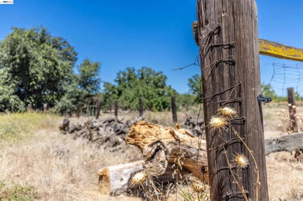 3515 Kellogg Creek Rd Byron, CA 94514