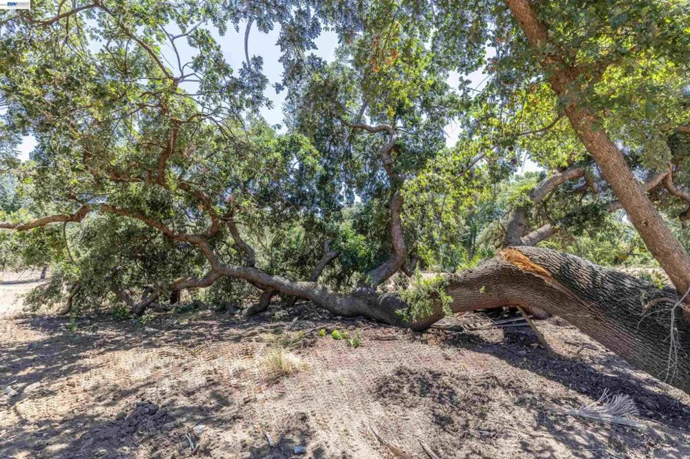 3515 Kellogg Creek Rd Byron, CA 94514