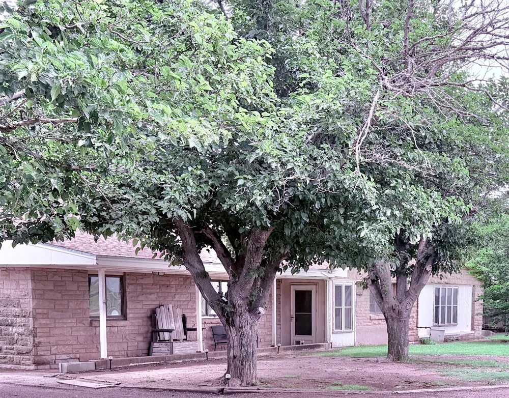1809 Crowell Highway Quanah, TX 79252