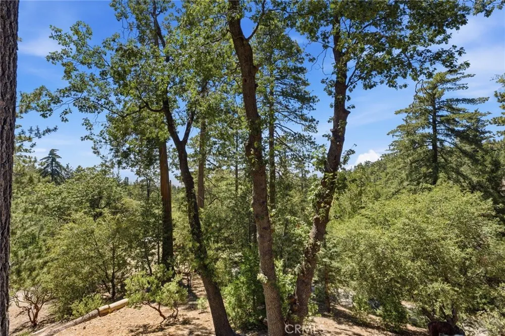 24759 Schaffer Drive Idyllwild, CA 92549