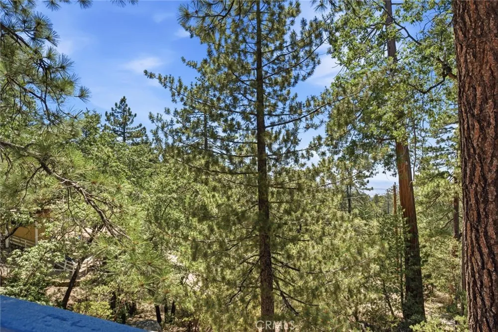 24759 Schaffer Drive Idyllwild, CA 92549