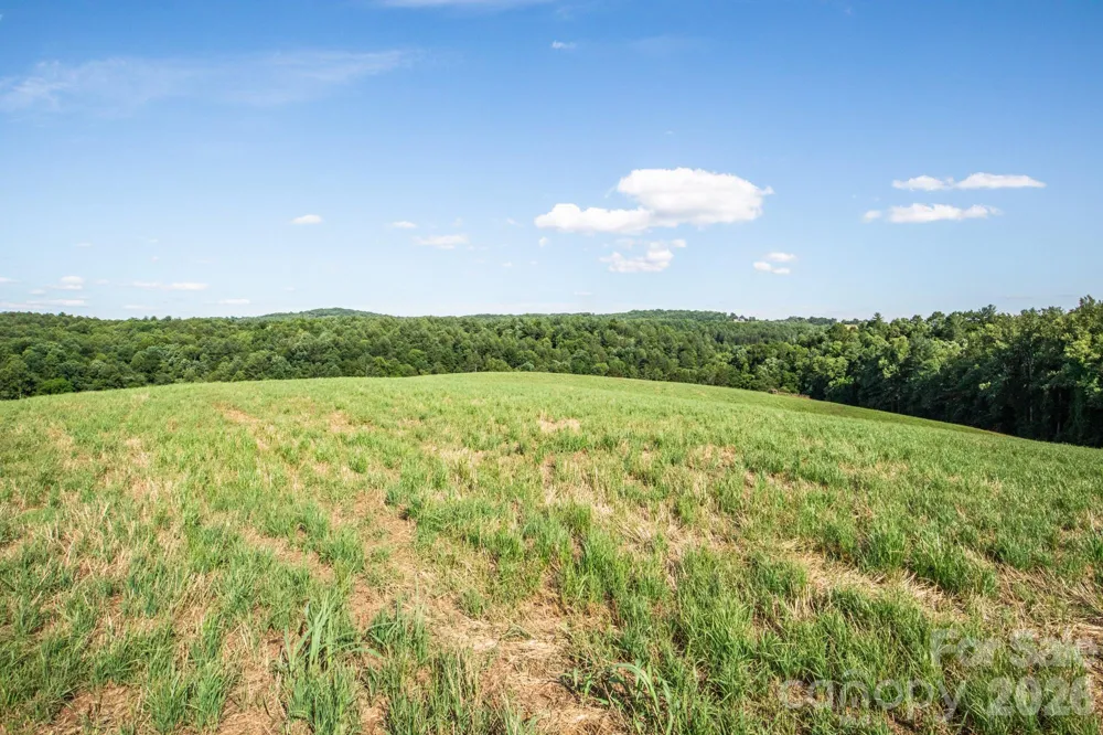 1779 Round Hill Church Road Traphill, NC 28685