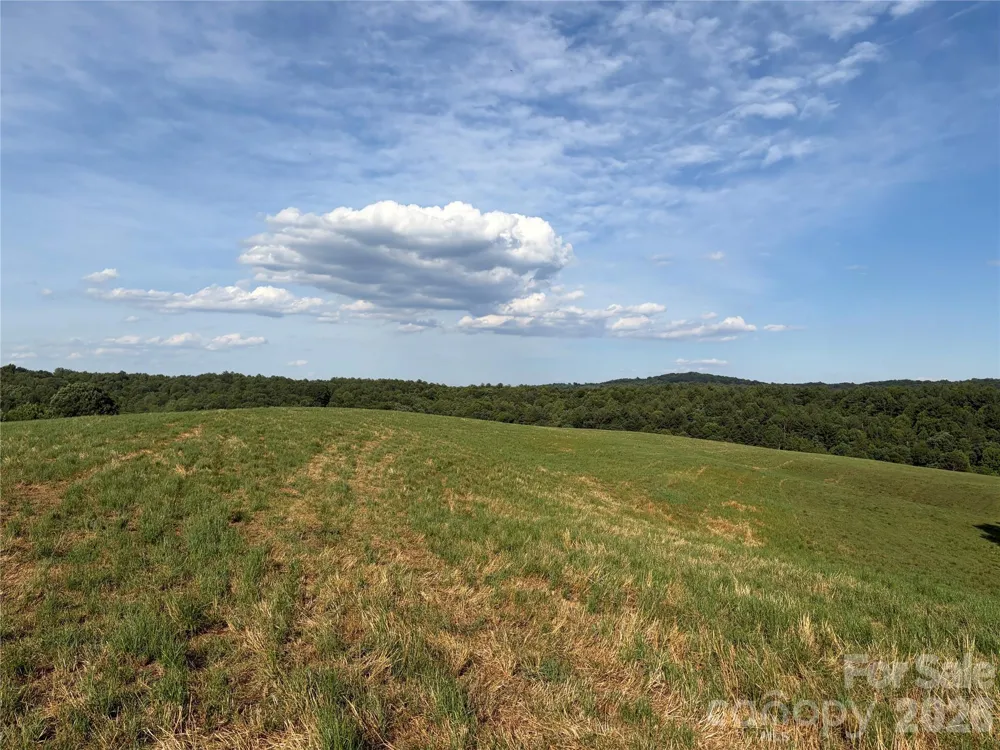 1779 Round Hill Church Road Traphill, NC 28685