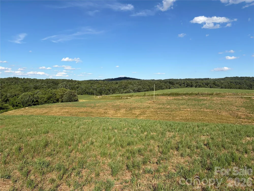 1779 Round Hill Church Road Traphill, NC 28685