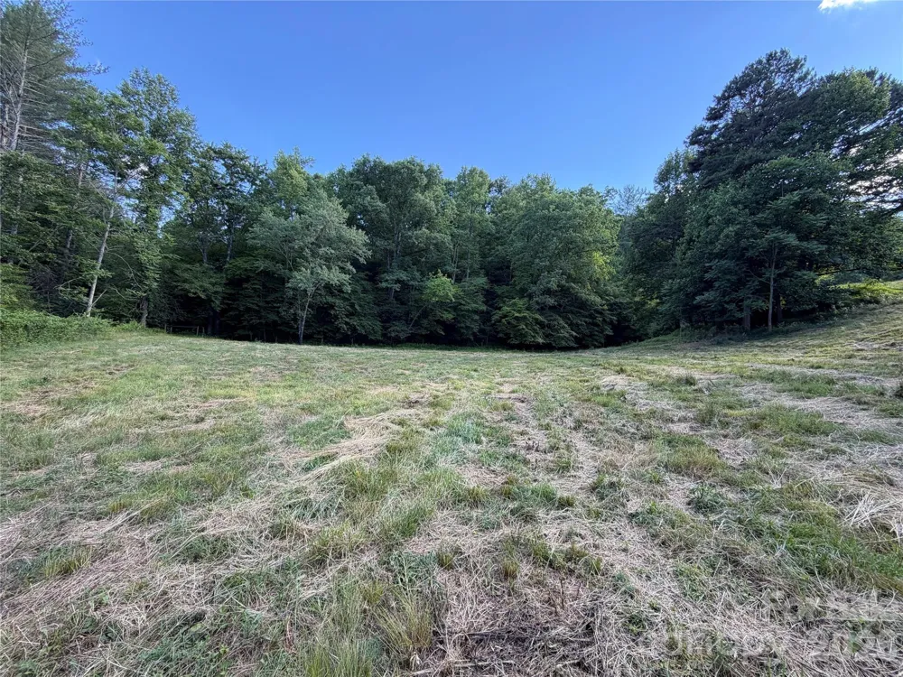 1779 Round Hill Church Road Traphill, NC 28685