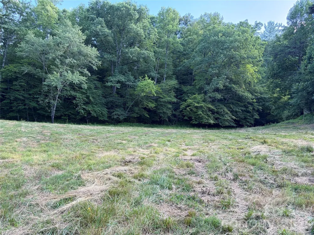 1779 Round Hill Church Road Traphill, NC 28685