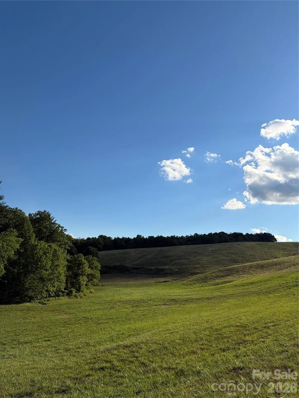 1779 Round Hill Church Road Traphill, NC 28685