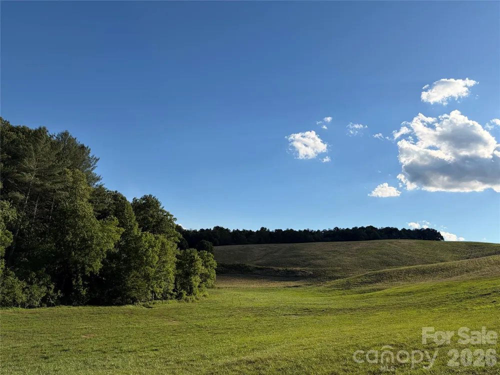 1779 Round Hill Church Road Traphill, NC 28685
