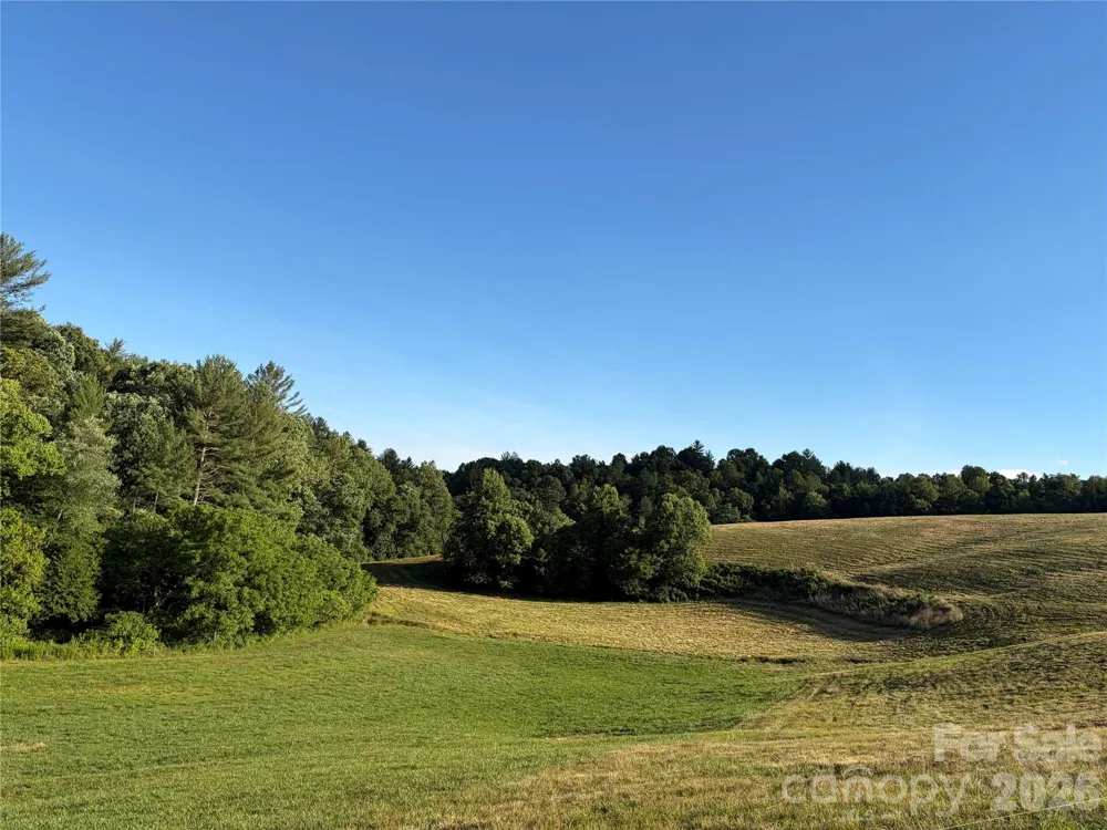 1779 Round Hill Church Road Traphill, NC 28685
