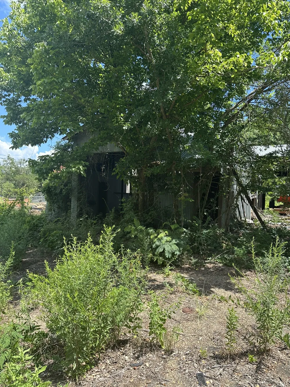 3520 County Road 219 Tyler, TX 75707