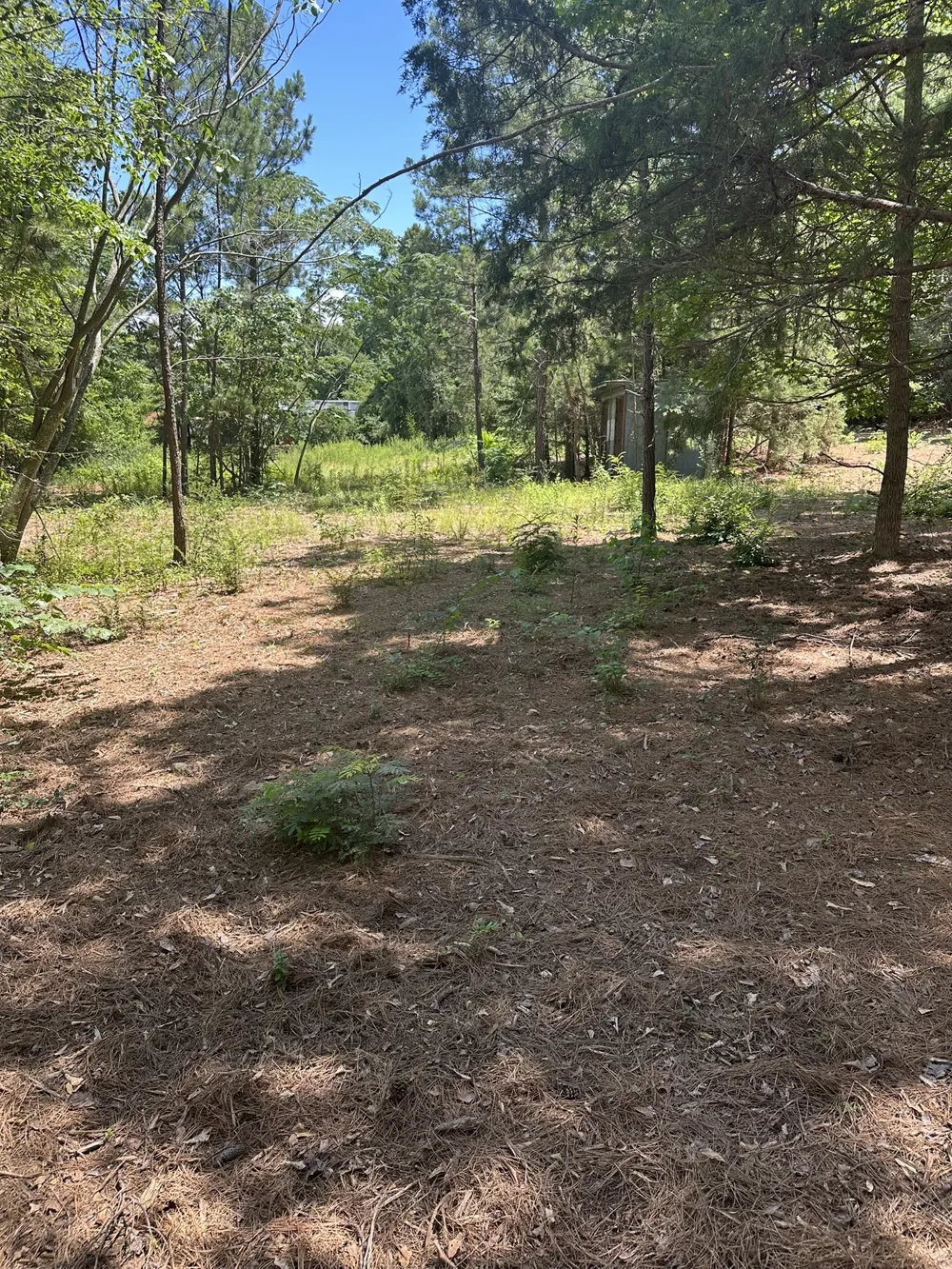 3520 County Road 219 Tyler, TX 75707