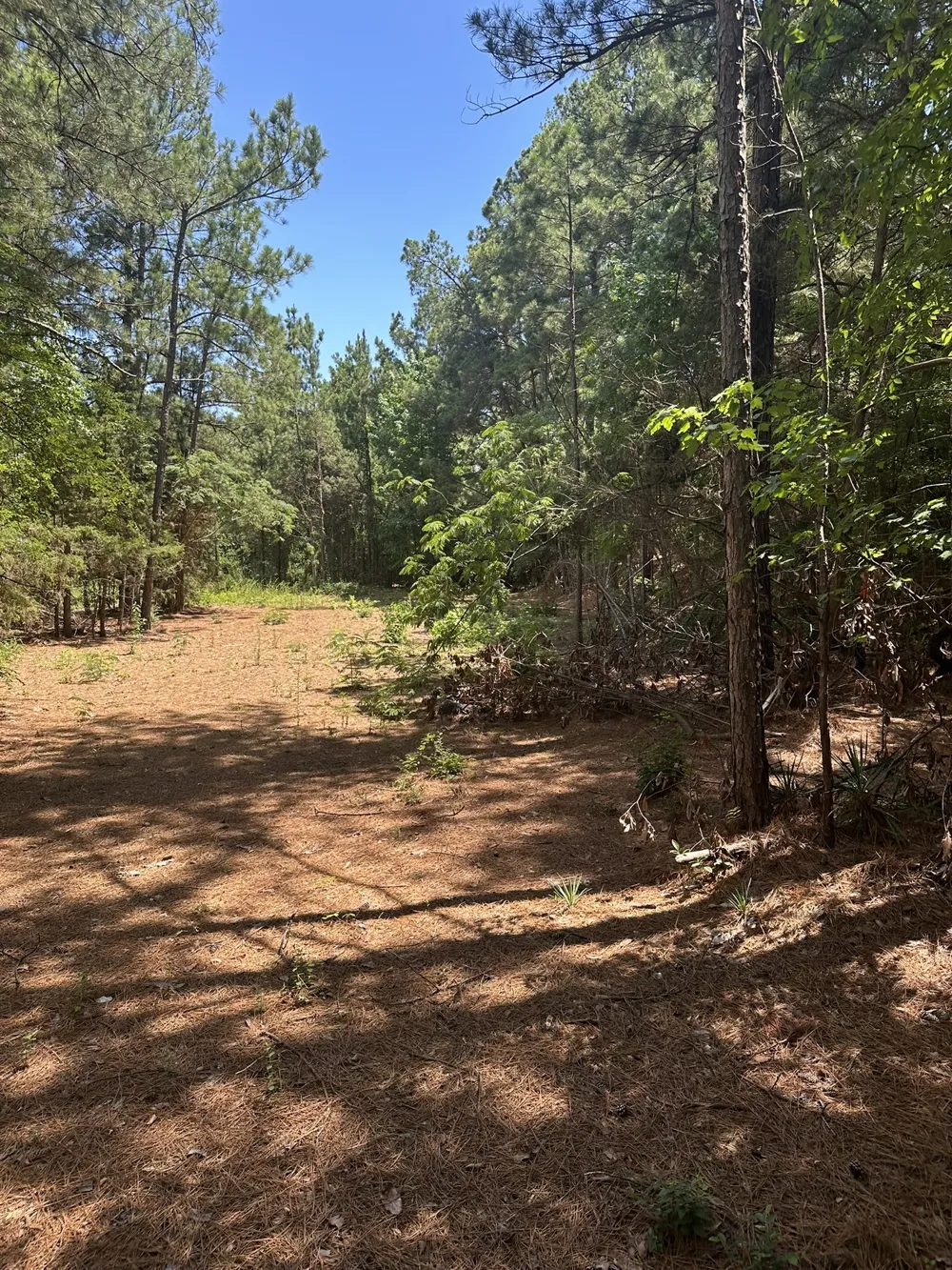 3520 County Road 219 Tyler, TX 75707