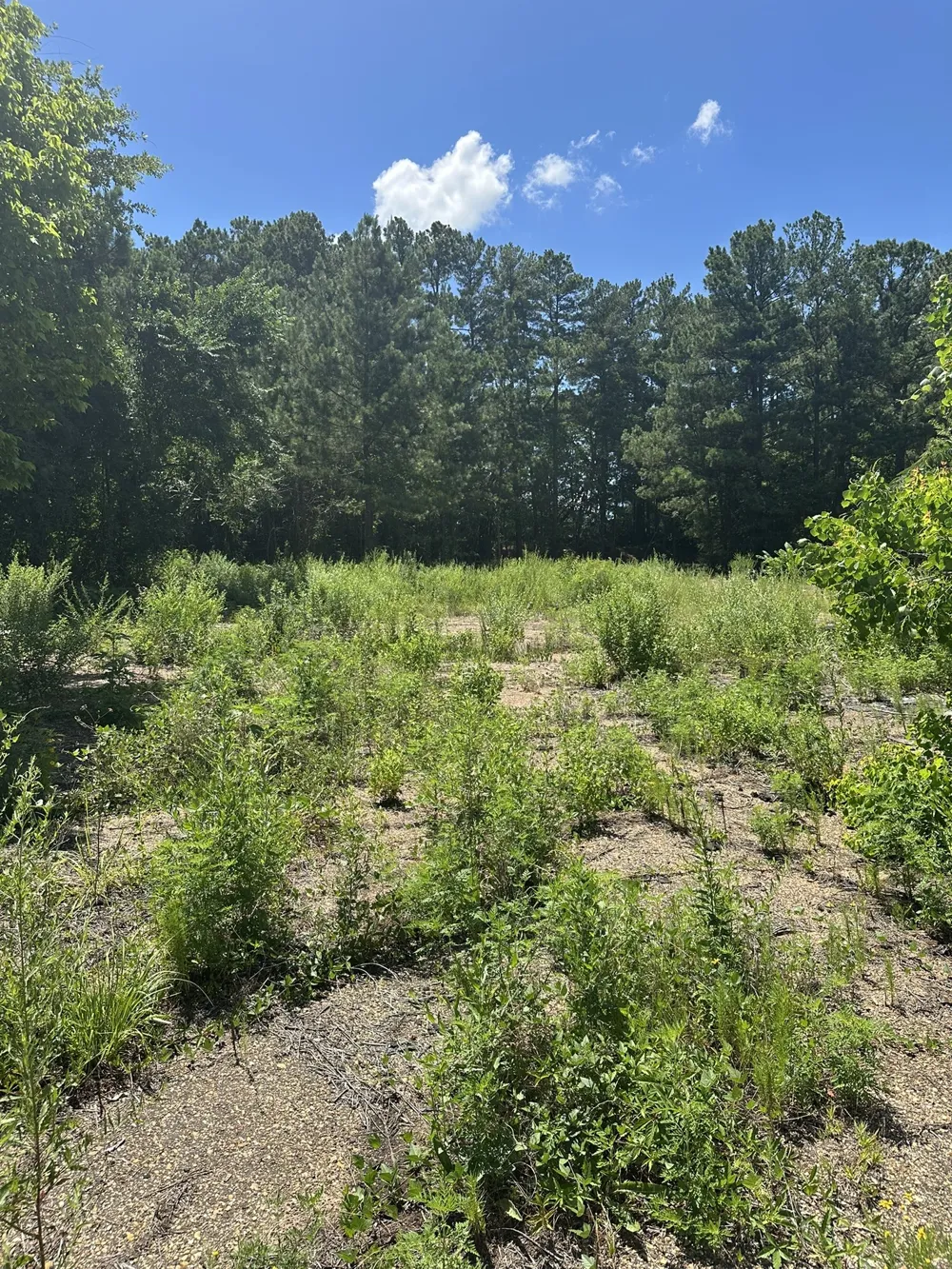 3520 County Road 219 Tyler, TX 75707
