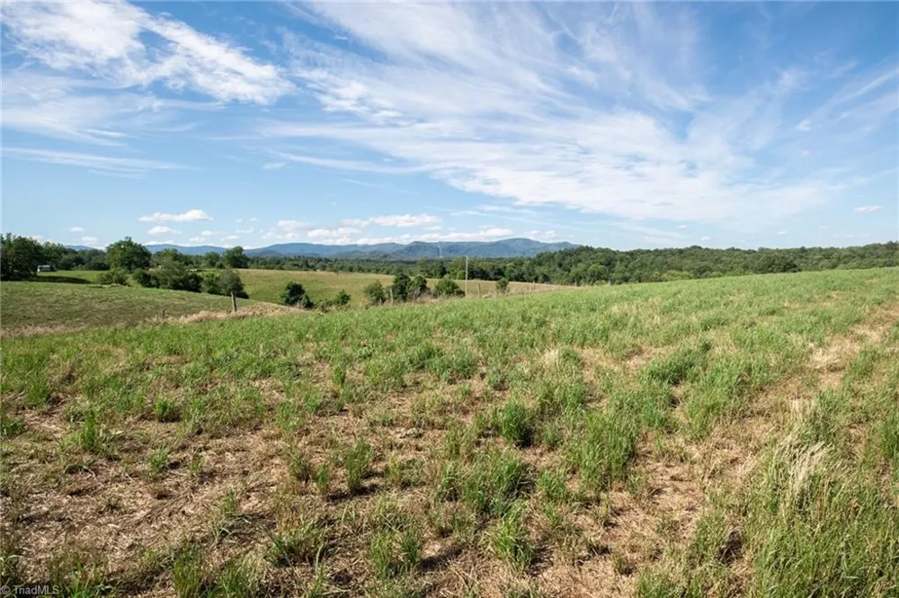 1779 Round Hill Church Road Traphill, NC 28685