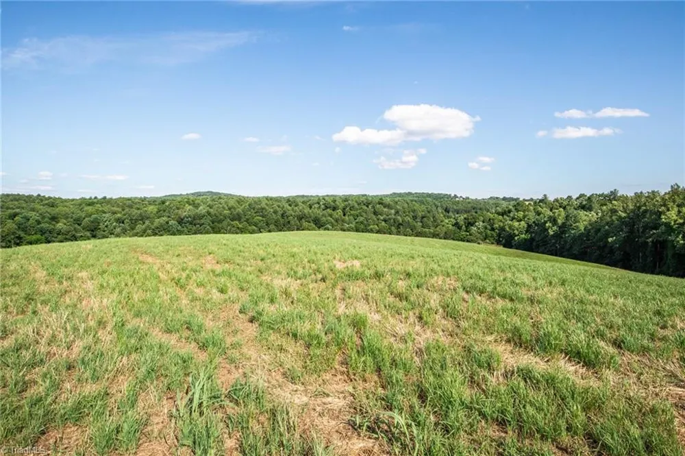 1779 Round Hill Church Road Traphill, NC 28685