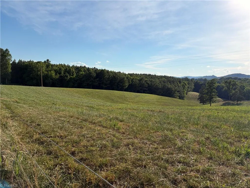 1779 Round Hill Church Road Traphill, NC 28685