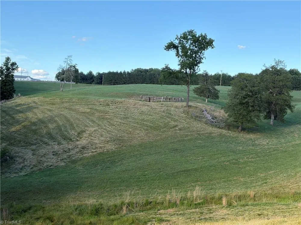 1779 Round Hill Church Road Traphill, NC 28685