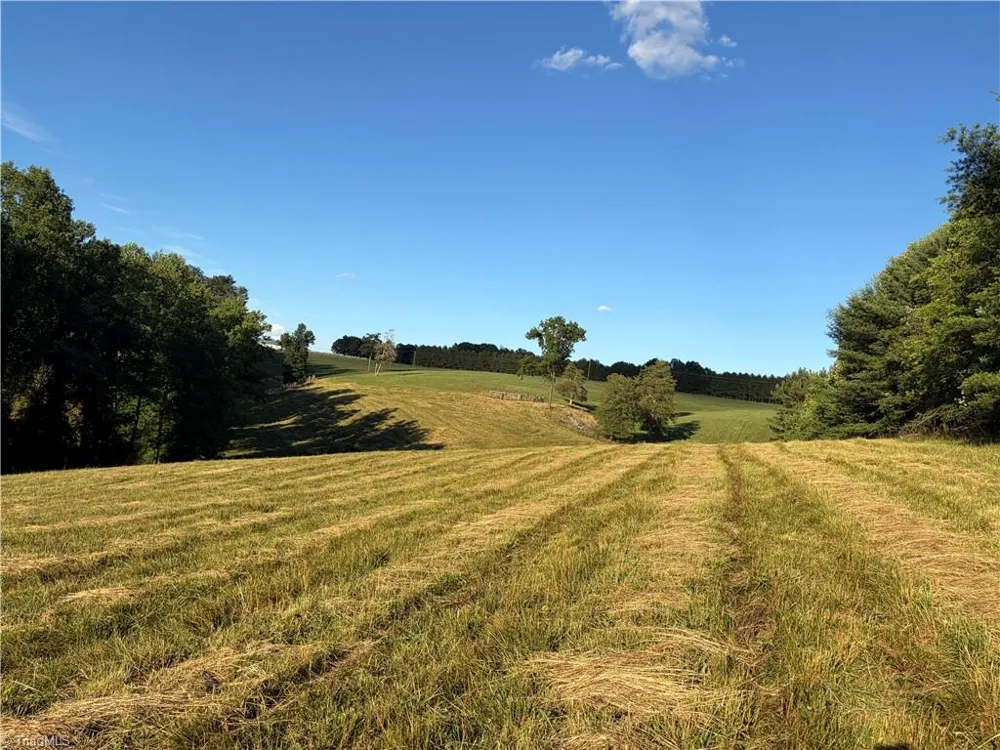 1779 Round Hill Church Road Traphill, NC 28685