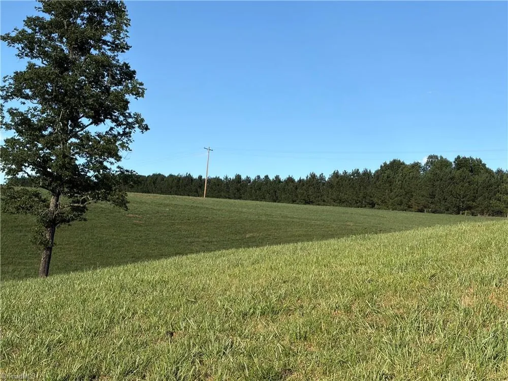 1779 Round Hill Church Road Traphill, NC 28685