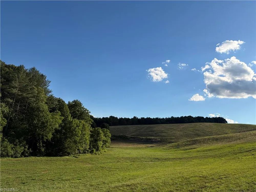 1779 Round Hill Church Road Traphill, NC 28685